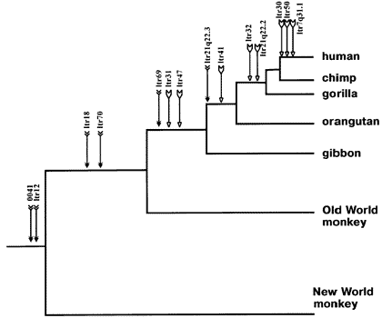 [Figure
4.4.1]
