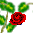 ̸Ƽ